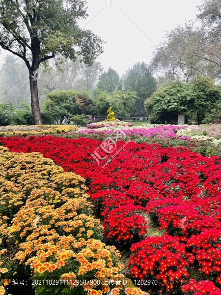 景觀花壇