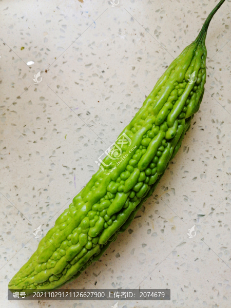 苦瓜