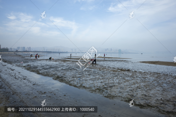 海邊趕海圖片