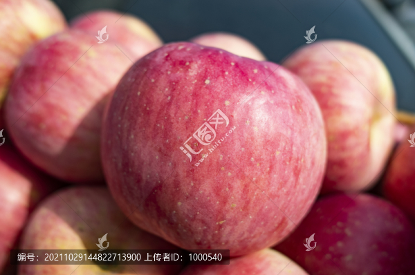 棲霞蘋果