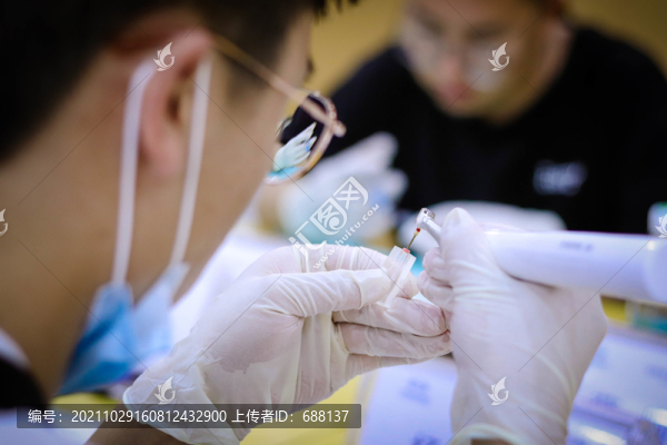 口腔醫(yī)學(xué)口腔科根管治療培訓(xùn)