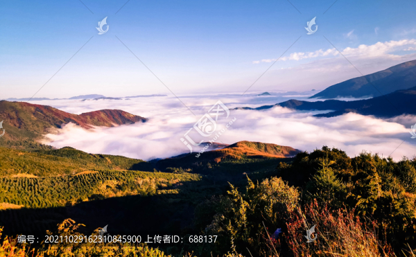 美姑龍頭山云海牛背山云海佛光