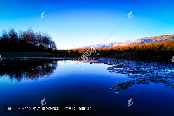 川西高原湖泊海子胡楊林雪松林