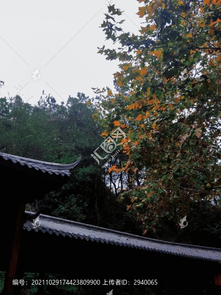秋色