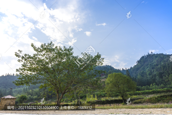 安徽西遞古村景區(qū)
