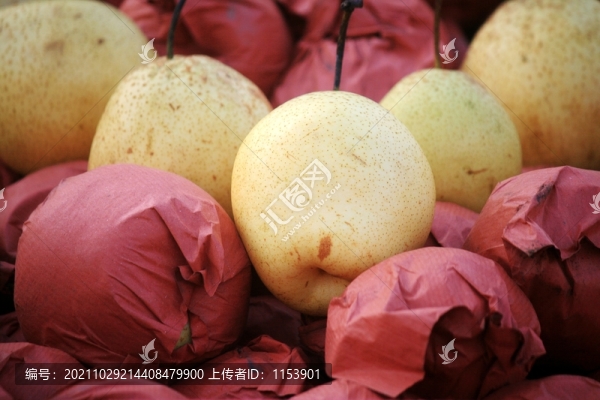 冰糖雪梨