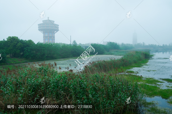 古運河岸