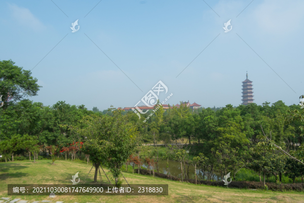 生態(tài)濕地公園