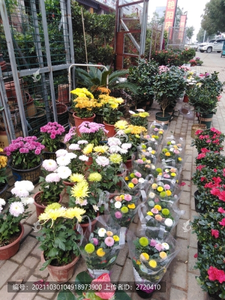花店