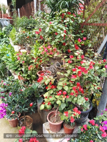 花店