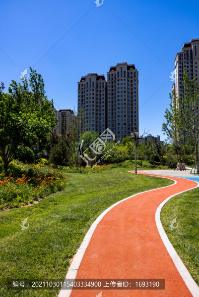 公園里的健身步道