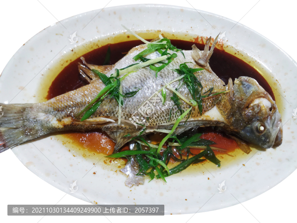 鱸魚