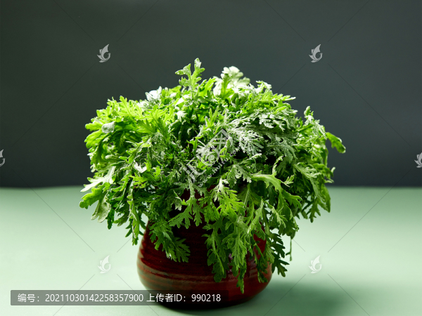 蒿子桿-匯圖網(wǎng) www.fosd68.com 蒿子桿