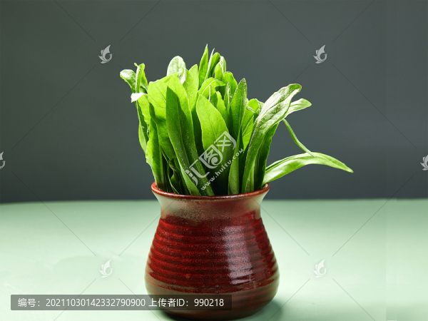 油麥菜