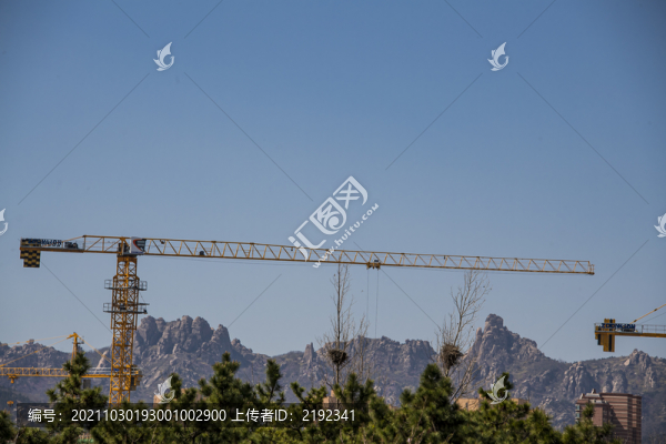 房地產(chǎn)開發(fā)建筑塔吊