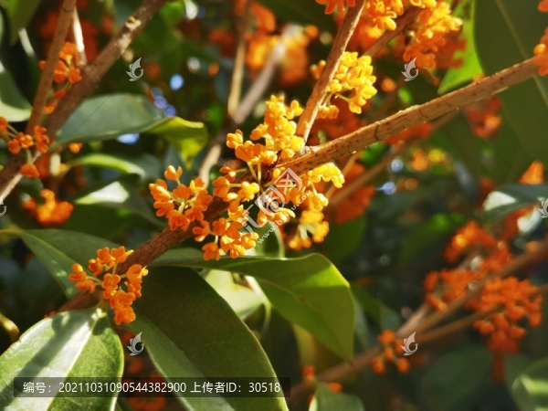 健康中國(guó)