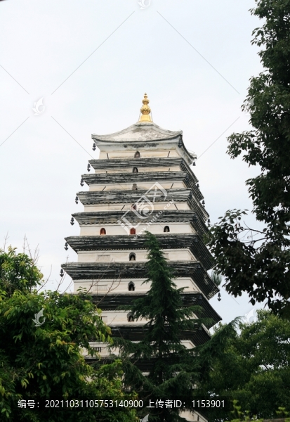 龍護(hù)舍利塔