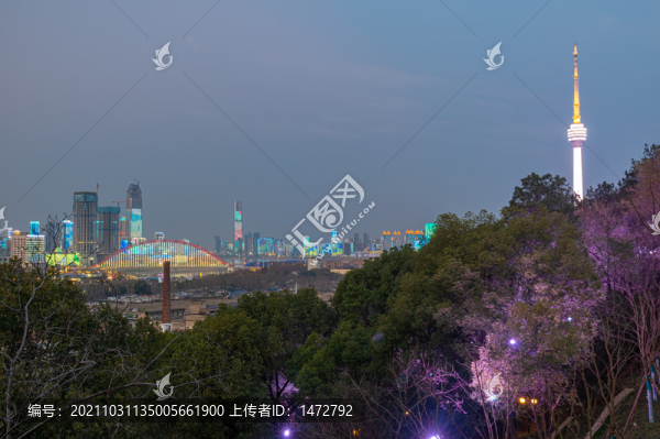 湖北武漢城市天際線風(fēng)光