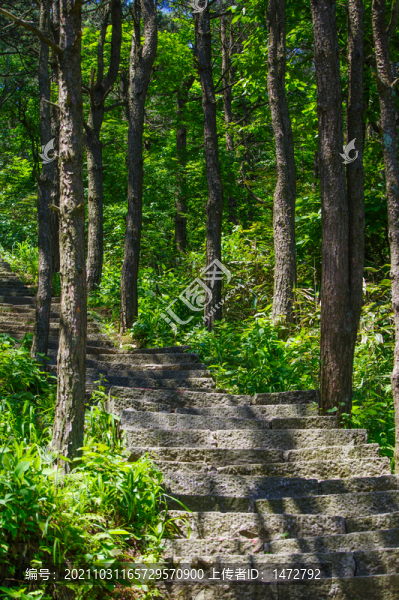 湖北黃岡羅田大別山薄刀鋒風(fēng)景區(qū)