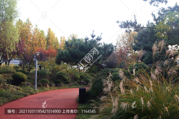 日照大學(xué)城公園