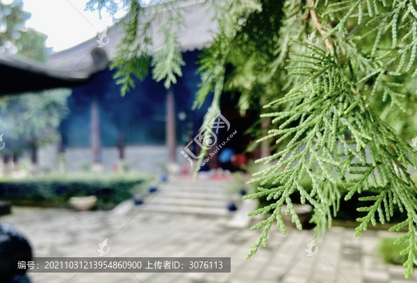 寺廟一角