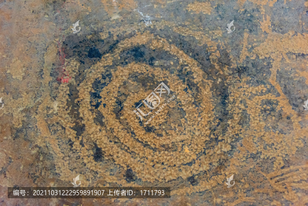 中國寧夏博物館館藏賀蘭山巖畫