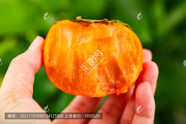 巧克力脆柿