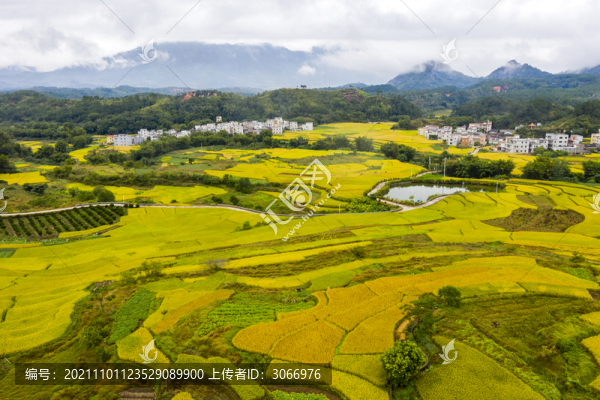 廣東封開大地鋪金鄉(xiāng)村如畫