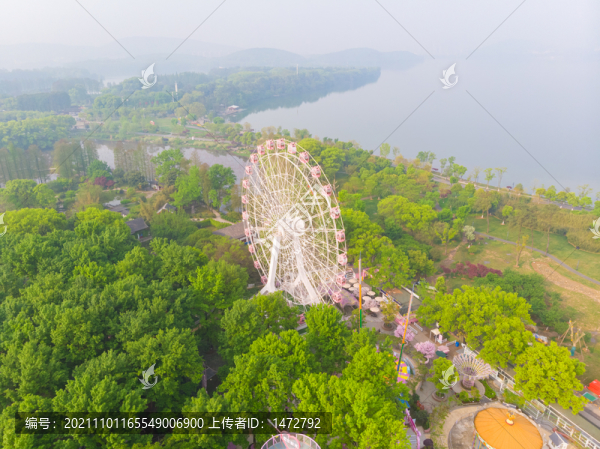 湖北武漢東湖磨山杜鵑園初春風(fēng)光