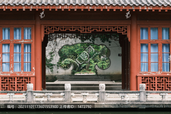 湖北武漢東湖磨山杜鵑園初春風(fēng)光