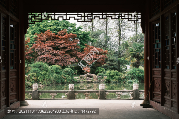 湖北武漢東湖磨山杜鵑園初春風(fēng)光