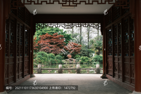 湖北武漢東湖磨山杜鵑園初春風光