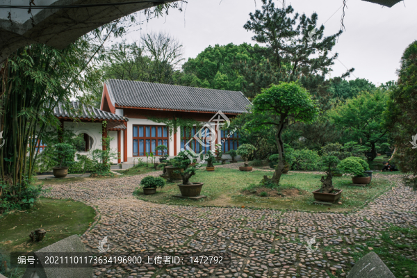 湖北武漢東湖磨山杜鵑園初春風(fēng)光
