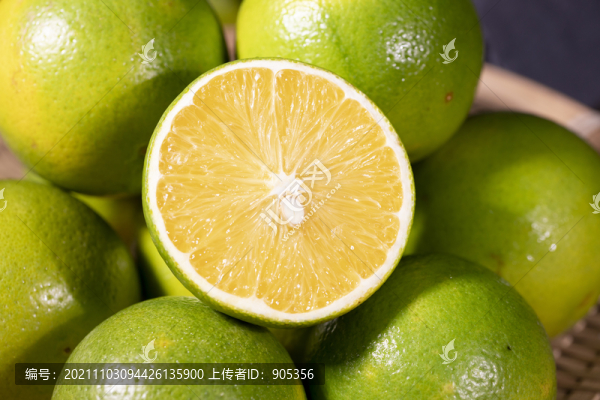 冰糖橙