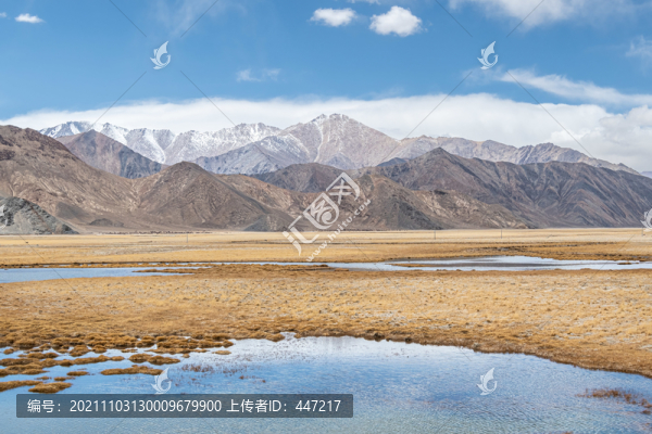 青藏高原濕地