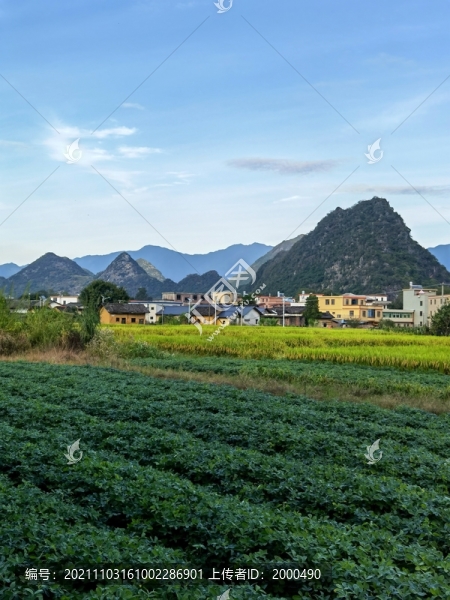 河源連平內(nèi)莞1