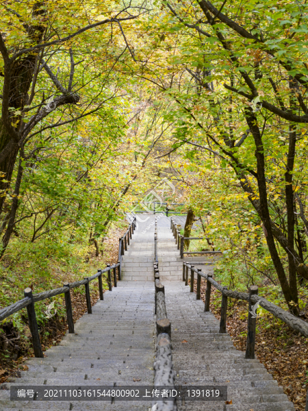 伊春嘉蔭茅蘭溝國家森林公園