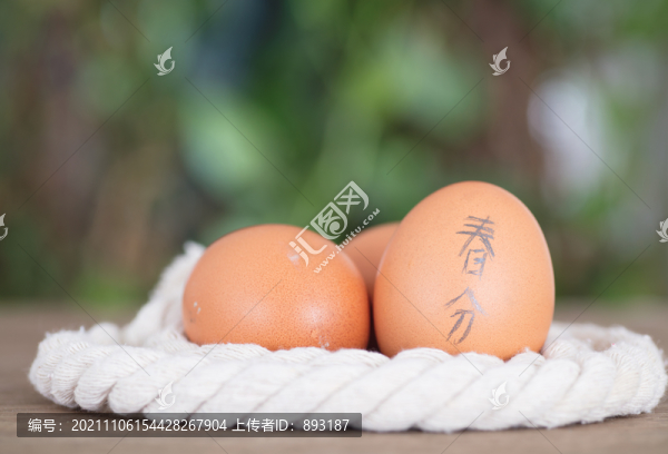 繩子圍成的小窩里三枚雞蛋
