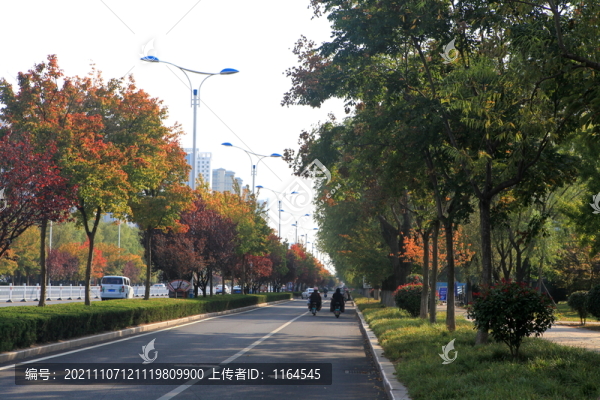 秋景