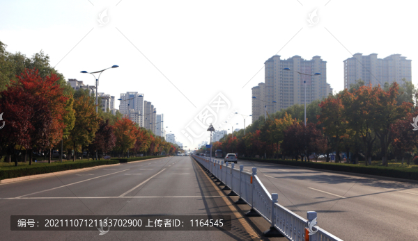秋景