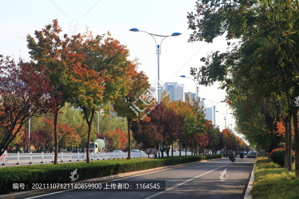 秋景