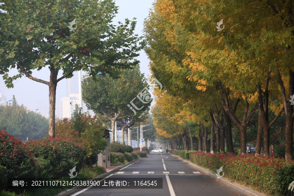 秋景