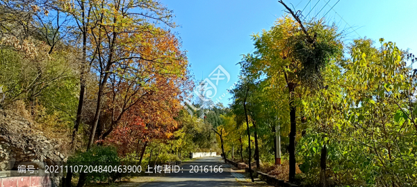 林間小路