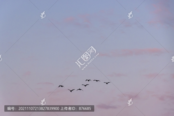 早霞