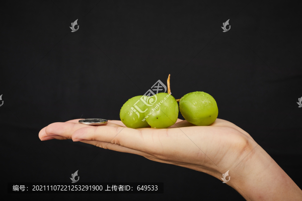 陽光葡萄