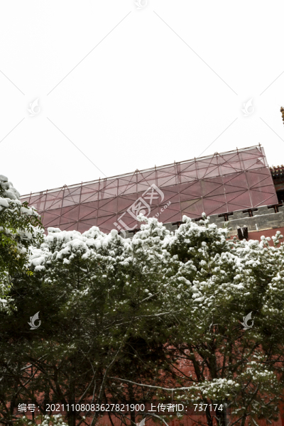 白雪掩映下的北京故宮城墻及古樹(shù)