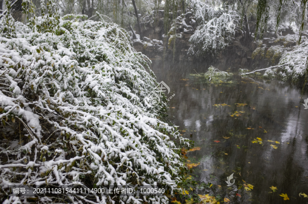 大雪中的公園