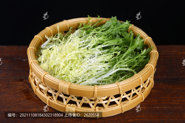 苦菊