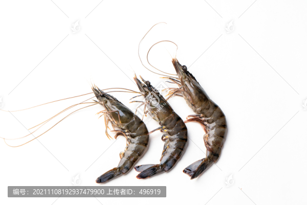 黑虎蝦