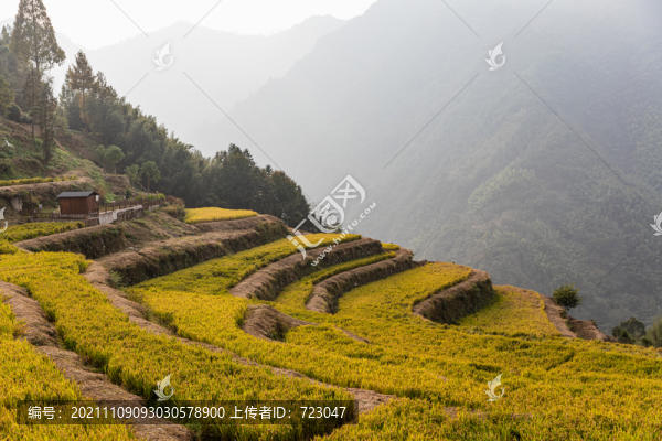 臨安指南村